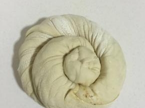 用手掌轻轻按压一下！

