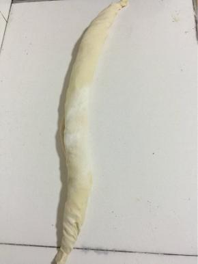 直到全部卷完为止！
