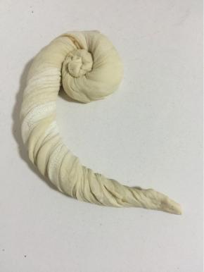 从面团的一头慢慢的像蜗牛一样卷起来！

