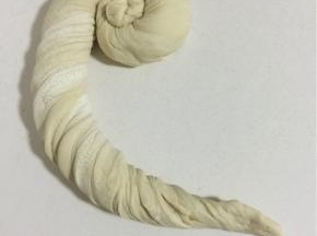 从面团的一头慢慢的像蜗牛一样卷起来！

