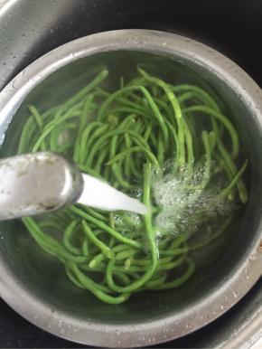 焯好水的豇豆迅速的过凉水，让豇豆保持翠绿的颜色！
