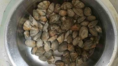 花蛤，泡水吐沙清洗干净。