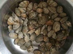 花蛤，泡水吐沙清洗干净。
