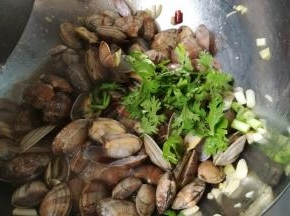 加入香菜，和葱段，翻炒，倒入勾芡淀粉水，翻炒出锅。