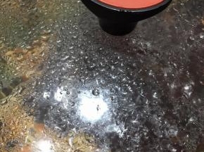 加盖转小火慢慢的煮上30分钟。