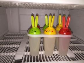 把棒冰盖子盖好，放在冰箱冷冻室冷冻一晚上即可！

