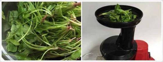 菠菜洗净，用原汁机榨出菠菜汁