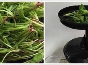 菠菜洗净，用原汁机榨出菠菜汁