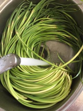 蒜苔放在水池中清洗干净！

