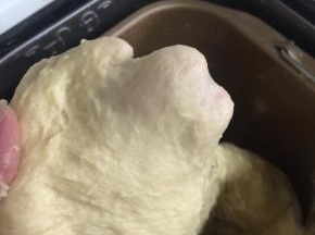 揉到面团可以拉出比较粗的膜！

