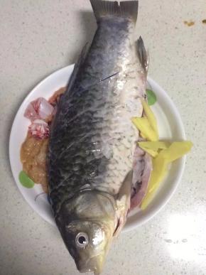 先把鲫鱼洗干，姜切片，然后鱼身划几刀，抹上盐腌制片刻