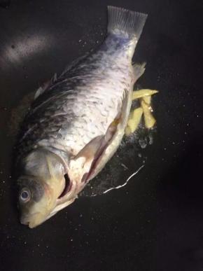 平底锅放油，炒一下姜，把鱼加入锅里煎至微黄盛出。