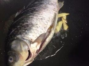 平底锅放油，炒一下姜，把鱼加入锅里煎至微黄盛出。