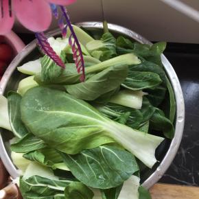 油菜处理一下，洗干净备用