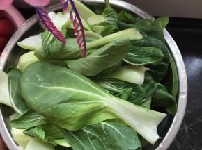 油菜处理一下，洗干净备用