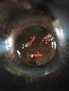 锅烧热倒入适量的油，放入干辣椒炒香！

