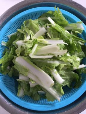 奶白菜用手揪成段儿，清洗干净后，放在淡盐水中浸泡片刻捞起沥干水分备用！

