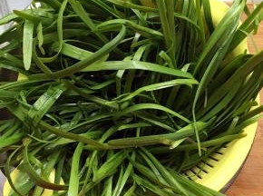 韭菜摘除旧叶子，挑洗干净，放漏盆里甩掉水分