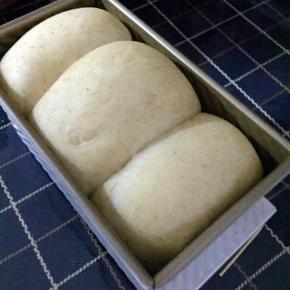 发至8分满，烤箱160度预热10分钟，放入烤箱烤40分钟即可