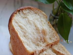 组织还是不错的