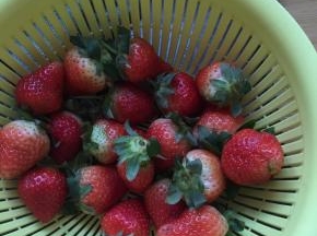 草莓用盐水泡几分钟，沥干水备用