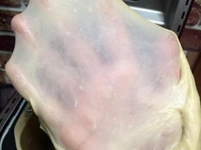 能拉出手套膜就可以了，放温暖处开始发酵