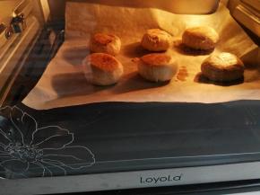 现吃的，将生胚依次放入不粘烤盘中（鲜肉月饼两边烤，不需要刷蛋液），预热好的烤箱中下层，以上下火190度烘烤40分钟，注意烘烤期间，烤到20分钟左右即表面有点上色后，取出烤盘将饼进行翻面，再放入烤箱继续烘烤20分钟。由于每个烤箱温差不一样，要根据自家烤箱温度进行适当调节！