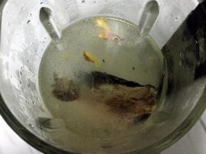 倒入破壁机里，倒入适量水，不要超过热饮上限位置