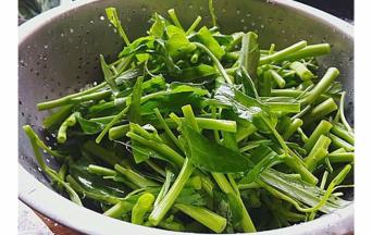 空心菜洗净切小段