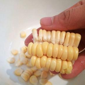 这样剥玉米粒，是不是很方便呀！用手一剥，一排的玉米粒就下来了！