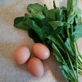 菠菜跟鸡蛋