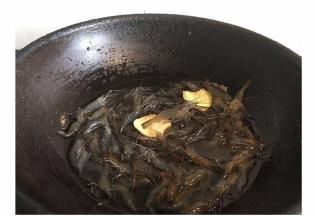 锅内倒入少许水 加入河虾和姜片