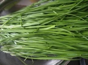韭菜摘掉黄叶，清洗干净。