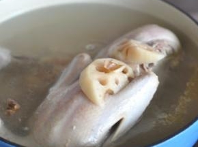用温水将鸭子身上的浮沫洗净，铸铁锅里水烧开后，放入鸭子和切块的莲藕，再放两片姜。