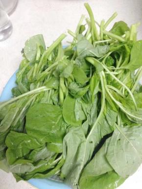 苋菜摘好洗净备用。