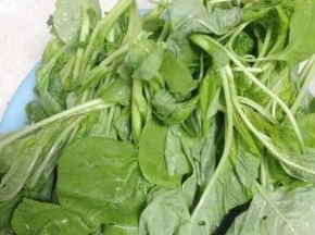 苋菜摘好洗净备用。