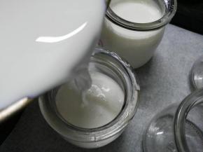 将酸奶液倒入事先消毒的酸奶瓶中