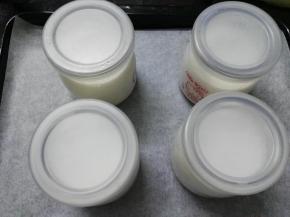 盛有酸奶液的酸奶瓶放入烤盘