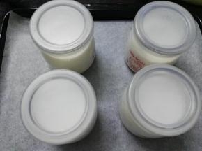 盛有酸奶液的酸奶瓶放入烤盘