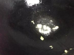 锅里倒入，加入姜炒香。