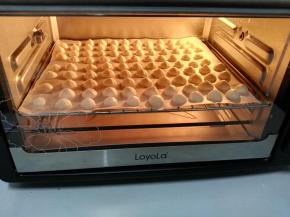 将烤盘放入预热好的烤箱，中层，上下火100℃烤15-20分钟以后，将温度降低至80℃，继续烘烤40分钟-1个小时，直到酸奶小溶豆变得酥松干脆。