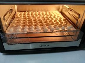 将烤盘放入预热好的烤箱，中层，上下火100℃烤15-20分钟以后，将温度降低至80℃，继续烘烤40分钟-1个小时，直到酸奶小溶豆变得酥松干脆。
