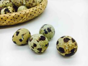 把每个鹌鹑蛋都磕出裂痕