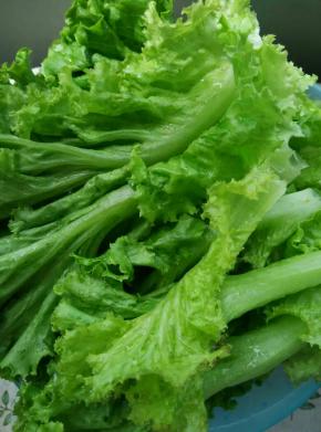 生菜一片一片掰下来用盐水浸泡五分钟，清水冲干净备用