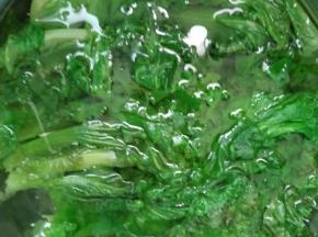 灼好的生菜捞出立即放入冷水里