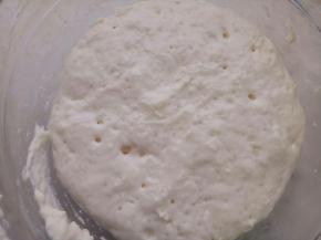 波兰种所有材料混和盖保鲜膜放冰箱冷藏20小时左右.里面都是小汽泡就好了.