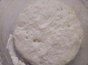 波兰种所有材料混和盖保鲜膜放冰箱冷藏20小时左右.里面都是小汽泡就好了.