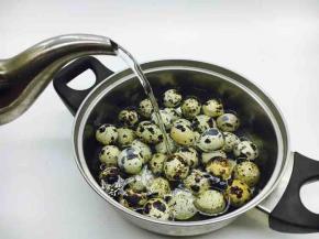 煮鹌鹑蛋：锅里放入鹌鹑蛋，放入适量的凉水，开大火煮开，小火炖8分钟。