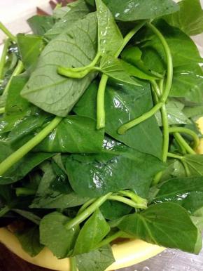 先把苕尖摘好洗净备用