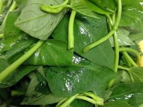 先把苕尖摘好洗净备用